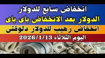 سعر الريال السعودي اليوم.. استقرار الجنيه المصري في تعاملات الثلاثاء 13 يناير